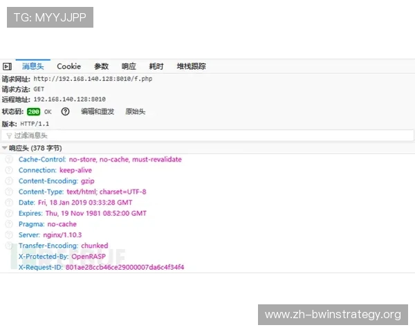德赢平台网页版登录入口免费下载详细指南帮助新手快速上手